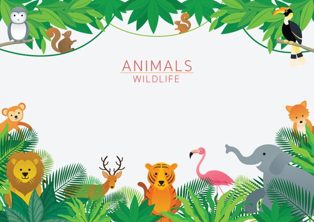 contoh vocabulary hewan