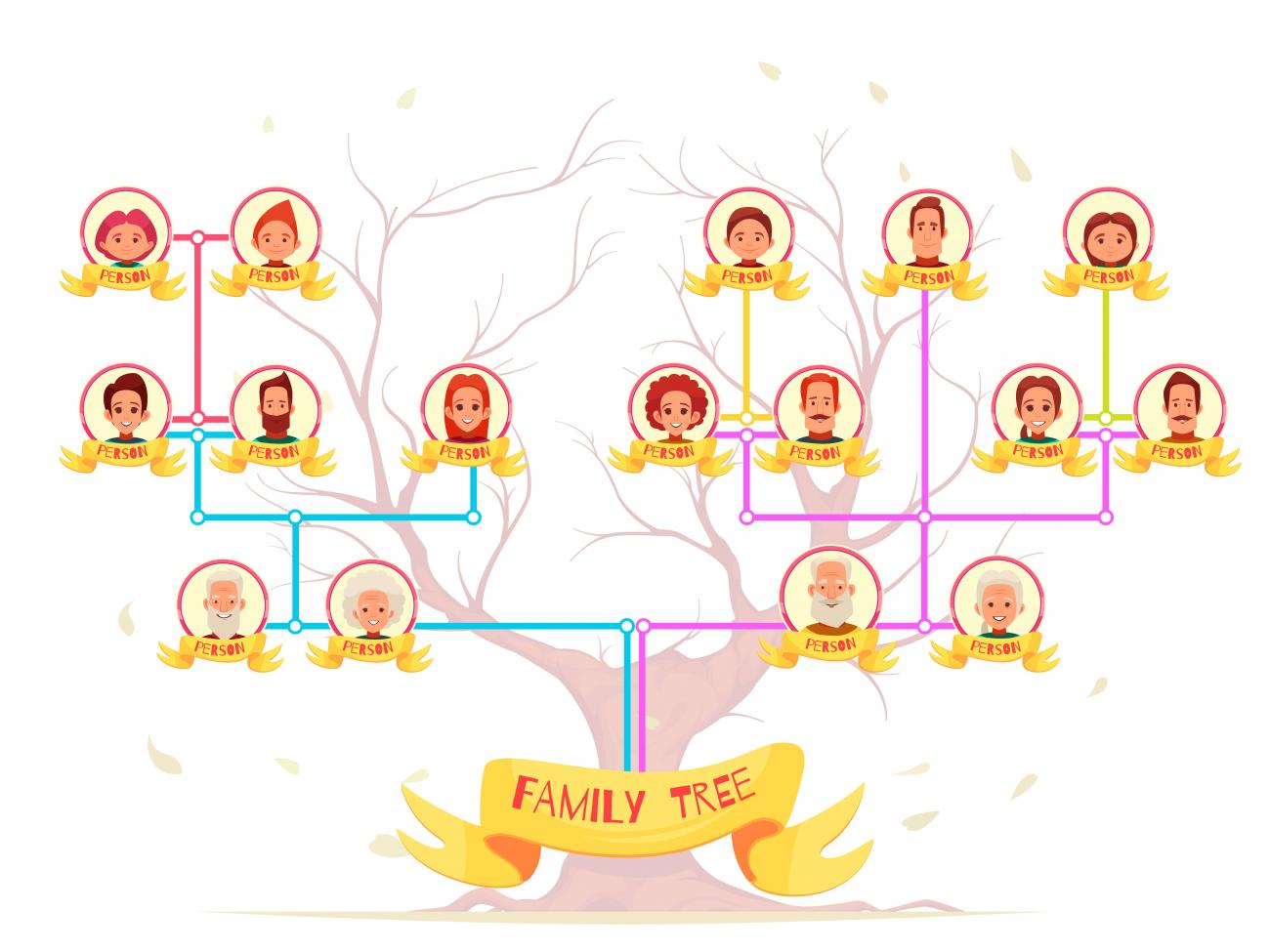 family tree dalam bahasa inggris